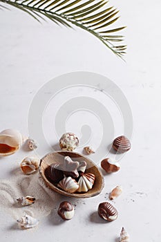 Chocolate candy shell shape