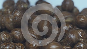 Chocolate cereal balls in white bowl for breakfast, close-up