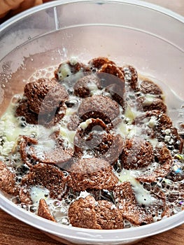 Chocolate Cereal with Boiled Milk