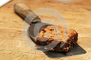 Chocolate chip brownie photo