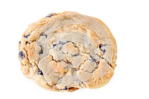 Chocolate Chip Cookie