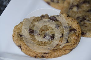 Chocolate chip cookie