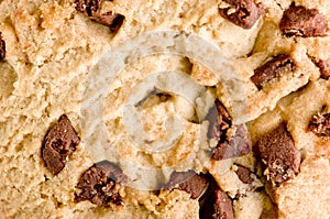 Chocolate chip cookie background,close-up.