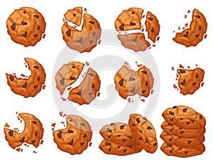 Chocolate chip cookie. Broken and bitten dessert with crumbs around. Pile of cookies vector set