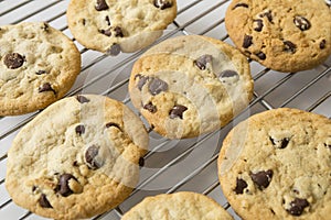 Chocolate Chip cookie and Cooling rack