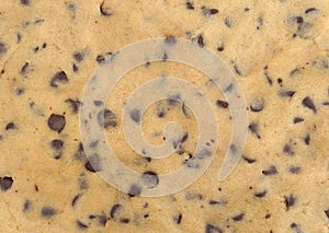 Chocolate chip cookie dough close view