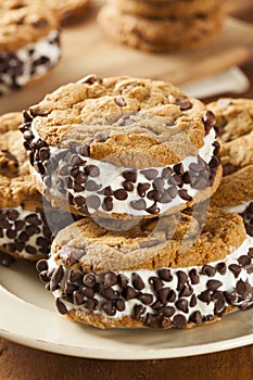 Chocolate Chip Cookie Ice Cream Sandiwch