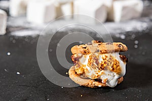 Chocolate Chip Cookie Sâ€™more with Copy Space