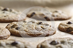 Chocolate Chip Cookies