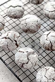 Chocolate chip cookies with cracks. Metallic rack with fresh baked chocolate crinkle cookies in icing sugar on gray