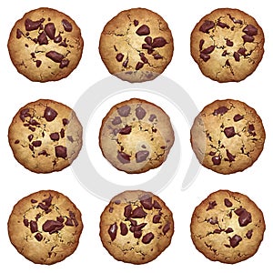 Chocolate chip cookies vector set