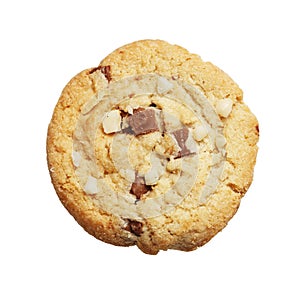 The chocolate chip and macadamia cookies isolated