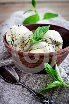 Chocolate chip mint ice cream photo