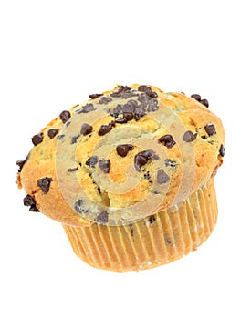 Chocolate Chip Muffin