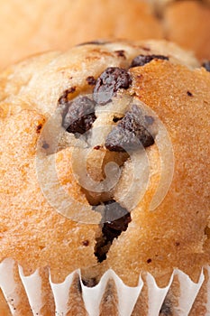 Chocolate Chip Muffin