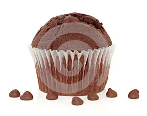 Chocolate Chip Muffin