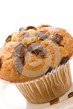 Chocolate chip muffin