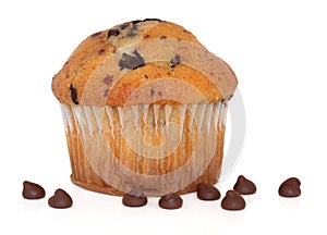 Chocolate Chip Muffin