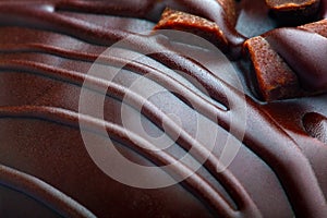 Chocolate Chip Muffin