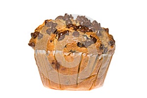 Chocolate Chip Muffin