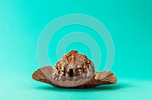 Chocolate chip muffin in brown wax paper. Unwrapped