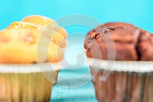 Chocolate Chip Muffins