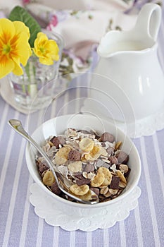 Chocolate chips granola