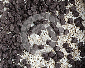 Chocolate chips and oatmeal