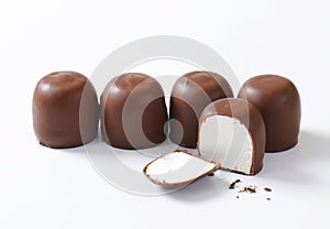 Chocolate-coated marshmallow treats