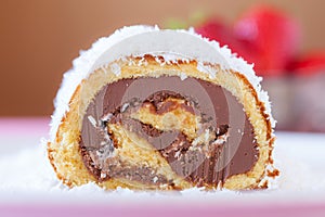 Chocolate Coconut Cake Roll Closeup
