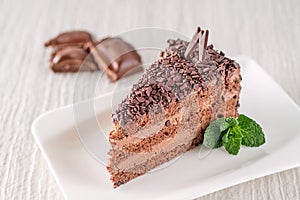 Chocolate or coffee cream cake on white plate with mint leaf, gluten free cake, product photography for patisserie