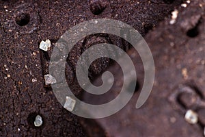 Chocolate cookie background