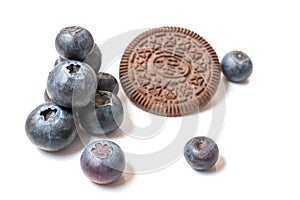 Chocolate cookies with blueberries, Breakfast, bakery. cake decorating
