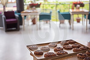 Chocolate cookies with crackles and chocolate chips lay at metal