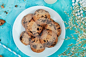 Chocolate Cookies. Healthy morning breakfast