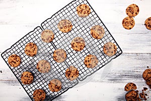 Chocolate cookies on white wooden table. Chocolate chip cookies on cooling rack