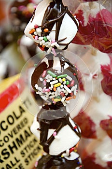 Chocolate Covered Marshmallows
