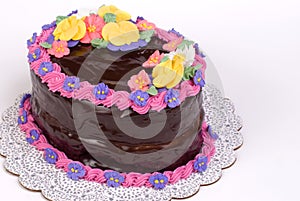 Chocolate Covered Oval Cake on White