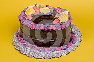 Chocolate Covered Oval Cake on Yellow