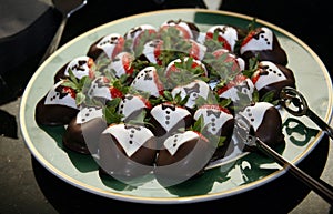 Chocolate Covered Strawberries