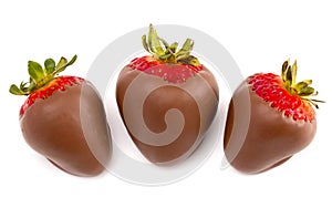 Chocolate Covered Strawberries on a White Background photo