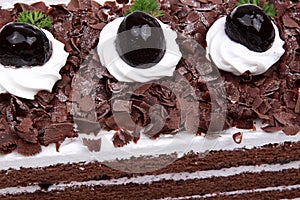 Chocolate cream cake