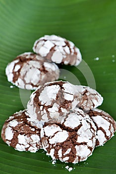 Chocolate Crinkle