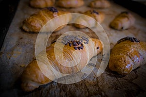 Chocolate croissants just baked in a bakery for a delicious breakfast