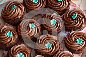 Chocolate cup cakes