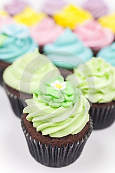 Chocolate Cup Cakes With Colorful Icing or Frosting