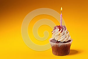 Chocolate cupcake with candle on orange background