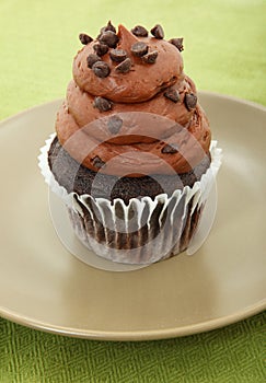 Chocolate Cupcake With Chocolate Chips