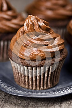 Chocolate Cupcake with Frosting