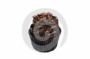 Chocolate Cupcake with Frosting